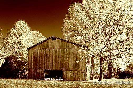 Autumn Tobacco Barn_24795 (psIR-tint).jpg - Photographed along the Natchez Trace Parkway in Tennessee; USA.